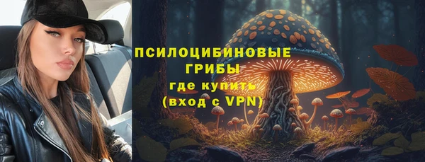 mdpv Армянск